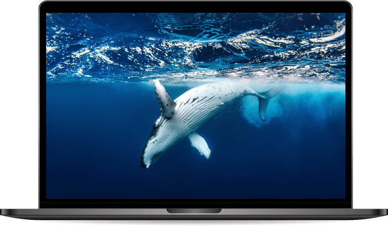 Автоматическая организация рабочего стола бесплатно с iTop Easy Desktop